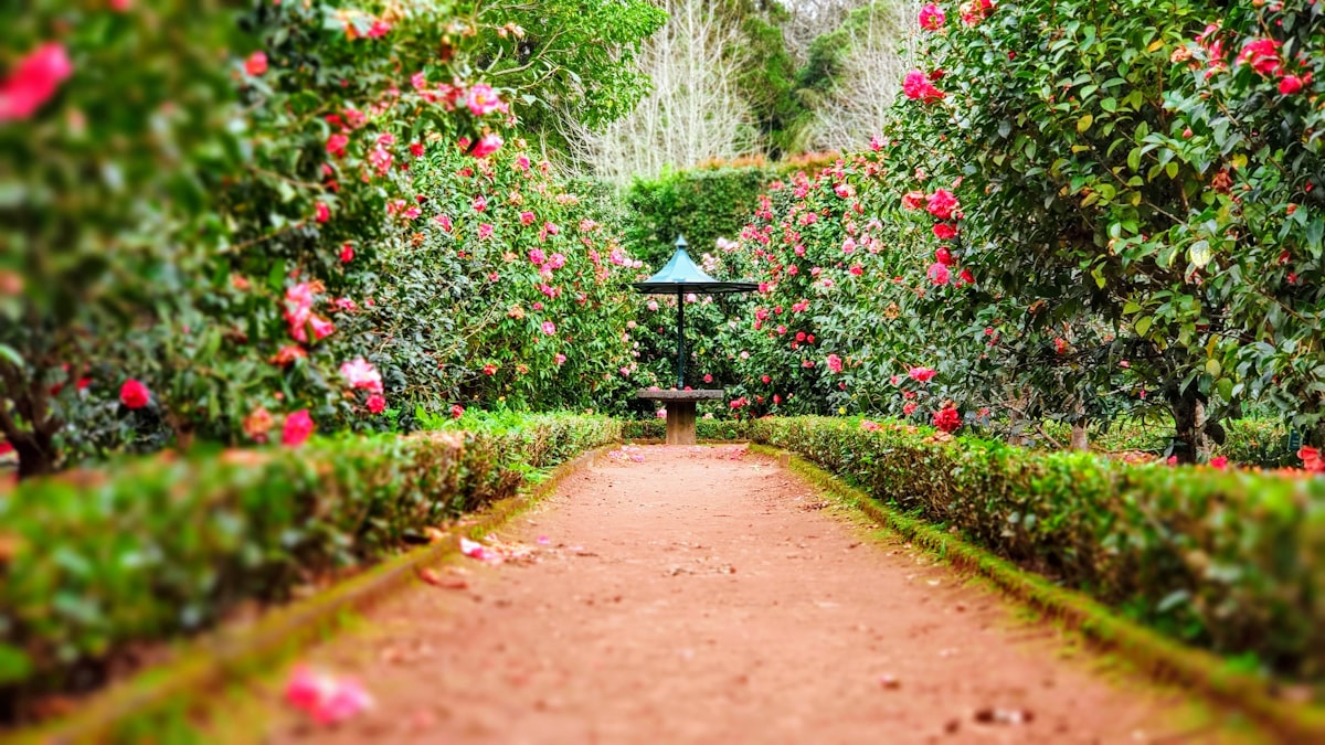 Landscape Designer PAN India